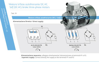 Selbstbremsender Drehstrom-Asynchronmotor DC-AC