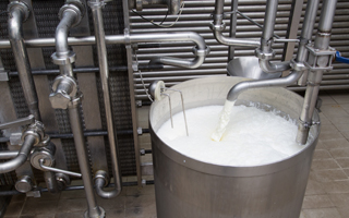Dairy products processing machinery